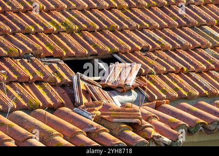 Tetto danneggiato con piastrelle di argilla rotte e tavole visibili che necessitano di urgente restauro Foto Stock