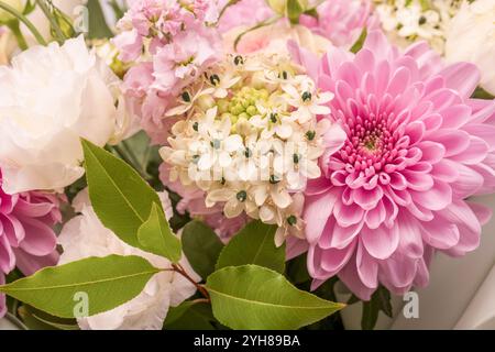 Bouquet di fiori con rose rosa, crisantemo e fiori freesia in vaso isolato su sfondo bianco. Foto Stock