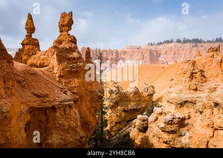 Hoodoos fatto della formazione Claron che si innalza sopra il paesaggio lungo il Navajo Loop. Bryce Canyon National Park, Utah Foto Stock