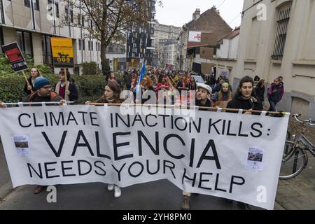 Bruxelles, Belgio. 10 novembre 2024. Questa foto è stata scattata durante una marcia per il clima, la pace e la giustizia sociale organizzata da Rise for Climate alla vigilia della COP 29, a Bruxelles, domenica 10 novembre 2024. BELGA FOTO NICOLAS MAETERLINCK credito: Belga News Agency/Alamy Live News Foto Stock