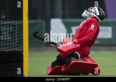 Anversa, Belgio. 10 novembre 2024. Il portiere di Uccle Arnaud Flamand reagisce durante una partita di hockey tra Beerschot e Uccle Sport, domenica 10 novembre 2024 ad Anversa, il giorno 11 del campionato belga di hockey di prima divisione. BELGA FOTO KRISTOF VAN ACCOM credito: Belga News Agency/Alamy Live News Foto Stock