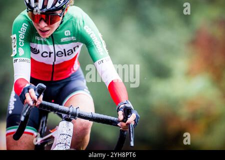 Lokeren, Belgio. 10 novembre 2024. La gara femminile d'élite del ciclocross 'Rapencross' a Lokeren, la seconda gara del Trofeo Badkamers X2O, domenica 10 novembre 2024. BELGA PHOTO JASPER JACOBS credito: Belga News Agency/Alamy Live News Foto Stock