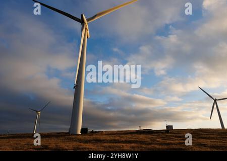 9 novembre 2024. Forss, Caithness, Scozia. Il tecnico Michael Parry ripara una lama di un mulino a vento presso la Forss Wind Farm vicino a Thurso, Scozia. Foto Stock