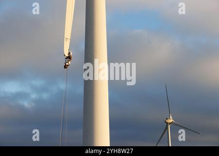 9 novembre 2024. Forss, Caithness, Scozia. Il tecnico Michael Parry ripara una lama di un mulino a vento presso la Forss Wind Farm vicino a Thurso, Scozia. Foto Stock