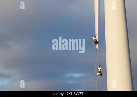 9 novembre 2024. Forss, Caithness, Scozia. Il tecnico Michael Parry ripara una lama di un mulino a vento presso la Forss Wind Farm vicino a Thurso, Scozia. Foto Stock