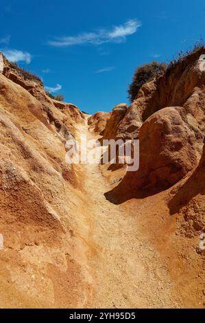 Sentiero illuminato dal sole scolpito attraverso l'impressionante arenaria arancione a Ponta da Piedade a Lagos Foto Stock