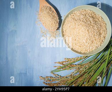 Una ciotola di riso integrale viene posta su un tavolo blu accanto a un cucchiaio di riso e alle orecchie di riso. Il recipiente è pieno di riso e il cucchiaio è pieno. Il riso Foto Stock