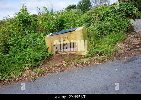 Salinaio invernale intempestivo circondato dal verde su una strada. Foto Stock