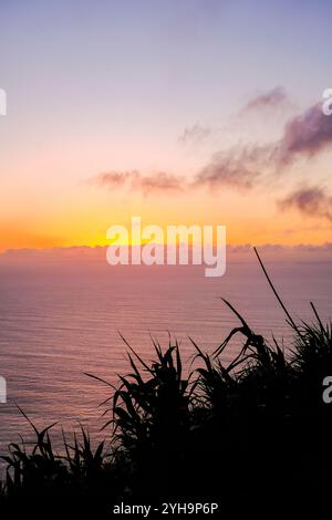 Un tranquillo e tranquillo tramonto sull'oceano, visto da una scogliera, con erba sagomata in primo piano. Foto Stock