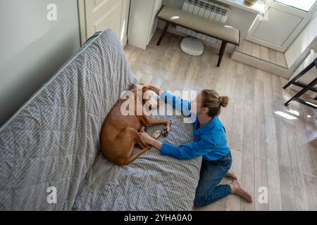 Una donna amorevole culla il cane Magyar Vizsla, confortando il cane letargico depresso che giace in tristezza sul divano Foto Stock