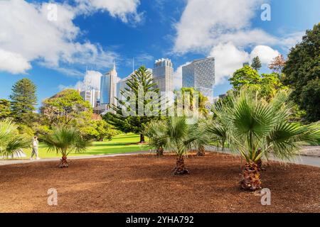 Giardino botanico reale di Sydney. Il giardino è stato aperto nel 1816 ed è la più antica istituzione scientifica in Australia. Foto Stock