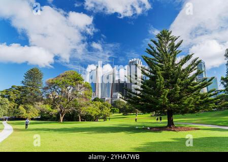 Giardino botanico reale di Sydney. Il giardino è stato aperto nel 1816 ed è la più antica istituzione scientifica in Australia. Foto Stock