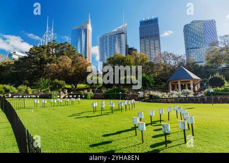 Giardino botanico reale di Sydney. Il giardino è stato aperto nel 1816 ed è la più antica istituzione scientifica in Australia. Foto Stock