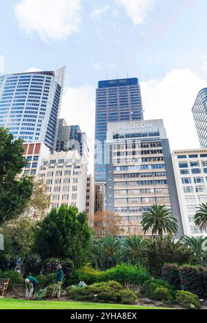 Giardino botanico reale di Sydney. Il giardino è stato aperto nel 1816 ed è la più antica istituzione scientifica in Australia. Foto Stock