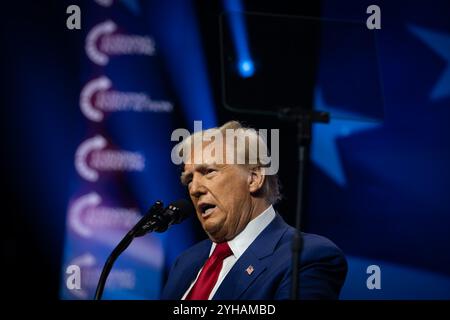 Duluth, Georgia, Stati Uniti. 23 ottobre 2024. Donald Trump si rivolge ai sostenitori del rally di Duluth Georgia (Credit Image: © Robin Rayne/ZUMA Press Wire) SOLO PER USO EDITORIALE! Non per USO commerciale! Foto Stock