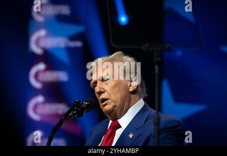 Duluth, Georgia, Stati Uniti. 23 ottobre 2024. Donald Trump si rivolge ai sostenitori del rally di Duluth Georgia (Credit Image: © Robin Rayne/ZUMA Press Wire) SOLO PER USO EDITORIALE! Non per USO commerciale! Foto Stock