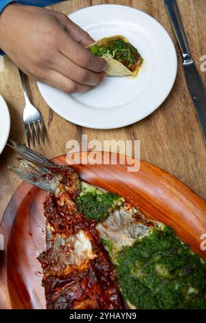 Mauricio Vargas Castillo mangia un taco di pesce alla griglia rosso e verde (Pescado a la talla in spagnolo) al ristorante Contramar di città del Messico, Stato del Messico, Messico giovedì 17 ottobre 2024. Il pescado a la talla della chef Gabriela Cámara è un pesce intero a farfalla con salsa rossa di cile su un lato e salsa verde di prezzemolo sull'altro lato. È stato un successo sin dall'apertura del ristorante nel 1998. È diventato uno dei piatti più replicati nei ristoranti di tutto il mondo, apparendo ovunque da Dallas a Cincinnati fino alla Grecia. (Foto di Bénédicte Desrus/Sipa USA) Foto Stock