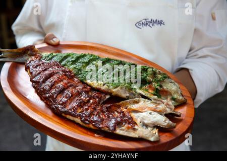 Pesce alla griglia rosso e verde (Pescado à la talla in spagnolo) presso il ristorante Contramar di città del Messico, Stato del Messico, Messico giovedì 17 ottobre 2024. Il pescado a la talla della chef Gabriela Cámara è un pesce intero a farfalla con salsa rossa di cile su un lato e salsa verde di prezzemolo sull'altro lato. È stato un successo sin dall'apertura del ristorante nel 1998. È diventato uno dei piatti più replicati nei ristoranti di tutto il mondo, apparendo ovunque da Dallas a Cincinnati fino alla Grecia. (Foto di Bénédicte Desrus/Sipa USA) Foto Stock