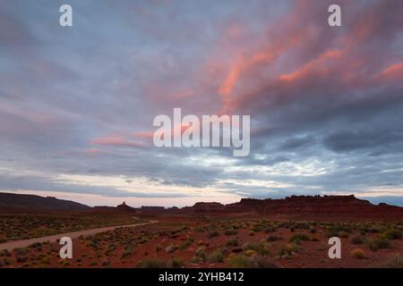 La Valley of the Gods Road si dirige verso le palme di arenaria sotto un'alba colorata. Bear Ears National Monument, Utah Foto Stock
