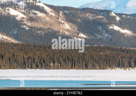 Una giornata luminosa con cielo azzurro con nuvole parziali e un grande fiume con montagne innevate e paesaggi innevati che circondano Tagish, nello Yukon. Foto Stock