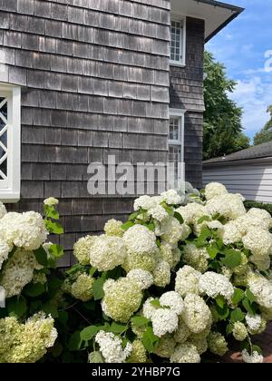 Estate nel New England Foto Stock