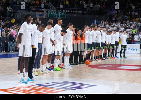 10 novembre 2024; Wizink Center; Liga Endesa; ACB; Real Madrid vs Dreamland Gran Canaria; Liga Endesa ACB Real Madrid - Dreamland Gran Canaria 900/Cordon Press Foto Stock