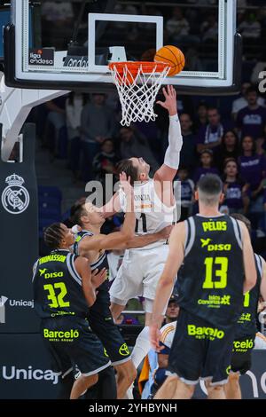 10 novembre 2024; Wizink Center; Liga Endesa; ACB; Real Madrid vs Dreamland Gran Canaria; Mario Hezonja (Real Madrid) Liga Endesa ACB Real Madrid - Dreamland Gran Canaria 900/Cordon Press Foto Stock