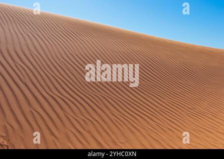 Motivi di sabbia sulla cima della duna di sabbia Big Red, Simpson Desert, Queensland, QLD, Australia Foto Stock