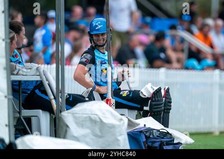 Adelaide, Australia. 11 novembre 2024. Adelaide, Australia, 11 novembre 2024: Laura Wolvaardt (14 Adelaide Strikers) guarda durante la partita Weber Womens Big Bash League 10 tra Adelaide Strikers e Melbourne Renegades al Karen Rolton Oval di Adelaide, Australia (Noe Llamas/SPP) crediti: SPP Sport Press Photo. /Alamy Live News Foto Stock