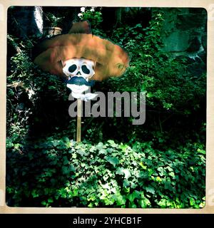 A skull wearing a Mexican sombrero decorates the garden of Casa del Indio Fernandez, during an exhibition for the Day of the Dead, in Coyoacan, Mexico City, Mexico, November 24, 20 Stock Photo