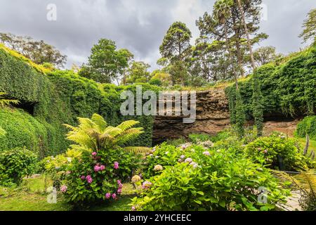 Gli iconici giardini della grotta di Umpherston Sinkhole Cave Gardens, visti dal fondo, il monte Gambier, la costa calcarea, Australia meridionale Foto Stock