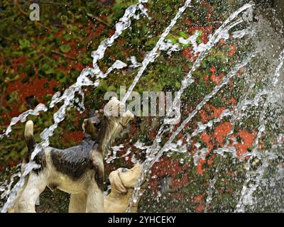 Toronto Canada / la famosissima fontana per cani di Berczy Park a Toronto. Foto Stock