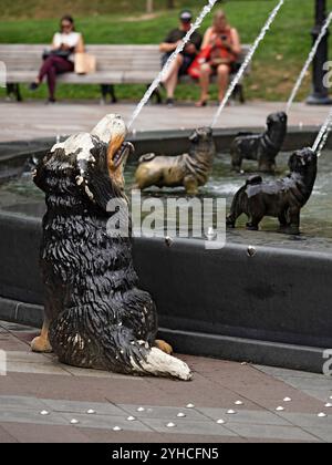 Toronto Canada / la famosissima fontana per cani di Berczy Park a Toronto. Foto Stock