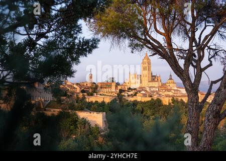 Vista della città vecchia di Segovia attraverso i rami degli alberi, Spagna Foto Stock