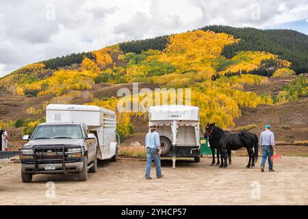 Mount Crested Butte, Stati Uniti - 29 settembre 2022: Allevamento di cavalli nel villaggio del Colorado con persone che camminano per escursioni Foto Stock