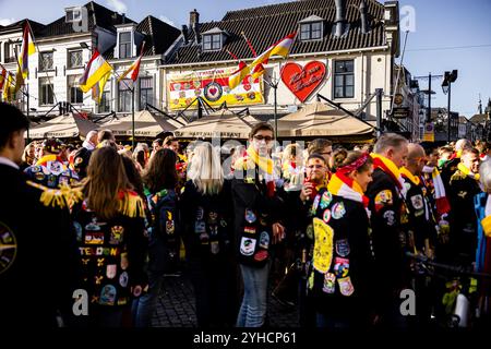 DEN BOSCH - folle durante il calcio d'inizio del carnevale nel centro di Oeteldonk, il nome che la città di Den Bosch porta durante il popolare festival. ANP ROB ENGELAAR netherlands Out - belgio Out Foto Stock