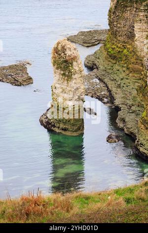 Gesso a Flamborough Head, riserva naturale di Outer Headland, ssi, Bridlington, East Yorkshire, Inghilterra Foto Stock