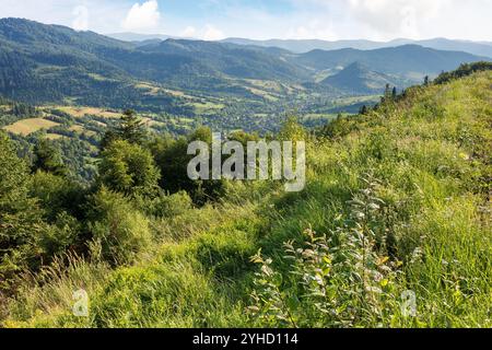 paesaggio dei carpazi in estate. paesaggio di campagna con luce pomeridiana. pendii boscosi. villaggio nella valle lontana Foto Stock