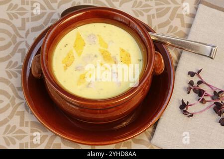 Cucina sveva, zuppa cerebrale con guarnigione di uova, frattaglie, cervello di vitello, regionale, zuppa servita in una ciotola, cucina casalinga, cucina tipica sveva, cucina tradizionale Foto Stock