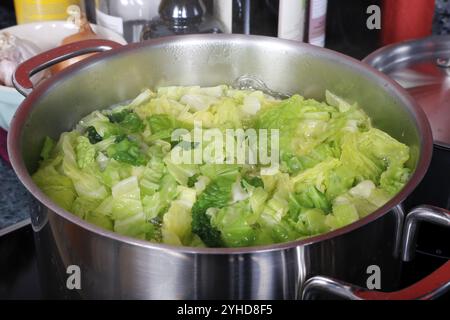 Cucina sveva, preparazione del cavolo sabaudo, medaglioni di cinghiale con torte di cavolo sabaude, verdure scottate, sano, piatto di cottura, cucina casalinga Foto Stock