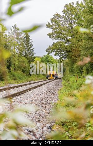 Un treno giallo corre su rotaie attraverso un paesaggio forestale autunnale, una macchina per la compattazione, Hermann Hessebahn, Althengstett, Foresta Nera, Germania, Europa Foto Stock