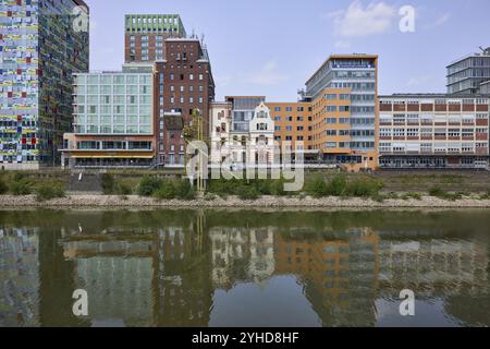 Edifici moderni e storici a Duesseldorf Media Harbour, capitale dello Stato, città indipendente, Renania settentrionale-Vestfalia, Germania, Europa Foto Stock