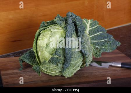Cucina sveva, preparazione del cavolo sabaudo, medaglioni di cinghiale con torte di cavolo sabaudo, verdure, sana, testa di cavolo sabaudo crudo su taglio b Foto Stock