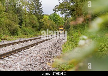 Il treno giallo corre sulle rotaie attraverso un paesaggio verde e autunnale, una macchina per compattazione, Hermann Hessebahn, Althengstett, Foresta Nera, Germania, Europa Foto Stock