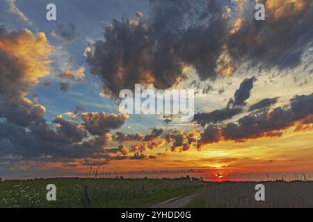 Tramonto con nuvole scure nel cielo sopra il paesaggio con prato e canne vicino a Behrensdorf sul Mar Baltico nello Schleswig-Holstein tramonto con un suggestivo c Foto Stock