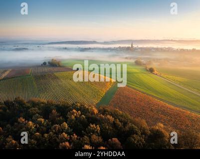 Vista droni dell'alba dorata sui campi di oggy e i vigneti nel Limburgo meridionale, nei Paesi Bassi Foto Stock