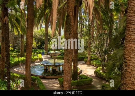 Bellissimo giardino tropicale a Granada, Andalusia, Spagna. Foto Stock