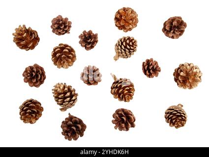 Coni di pino isolati su coni di conifere di colore bianco, molti coni di colore marrone e oro, vista dall'alto Foto Stock