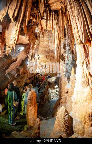 QUICKSBURG, Virginia - Shenandoah Caverns, scoperte nel 1884 durante le operazioni di estrazione della ferrovia nella proprietà di Abraham Neff, presenta ampie formazioni rocciose calcaree accessibili tramite ascensore. Le caverne, sviluppate per il turismo nel 1922 da Hunter Chapman, rimangono l'unica grotta in Virginia con accesso tramite ascensore. Il sistema di grotte mostra formazioni naturali, tra cui stalattiti, stalagmiti e pietre di fiori, attraverso i suoi passaggi sviluppati. Foto Stock