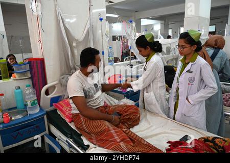 Dacca, Bangladesh. 11 novembre 2024. L'infermiera tratta un paziente coperto di zanzariere affette da febbre dengue riposa all'interno dell'ospedale medico "Shaheed Suhrawardy" di Dhaka, Bangladesh, l'11 novembre 2024. Dal 1° gennaio 2024 all'11 novembre 2024, un totale di 75.142 persone sono state colpite dalla dengue. Almeno 310 persone sono morte nel peggiore focolaio di dengue del Bangladesh mai registrato, hanno detto i funzionari l'11 novembre, mentre gli ospedali sovraccarichi lottano per curare migliaia di pazienti. Crediti: Mamunur Rashid/Alamy Live News Foto Stock